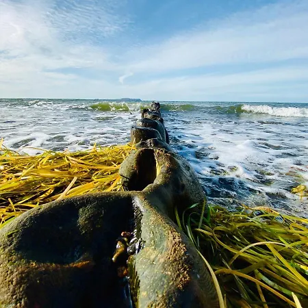 Lejlighed App 6 Bugoase Am Bug Fuer 7 Gaeste *