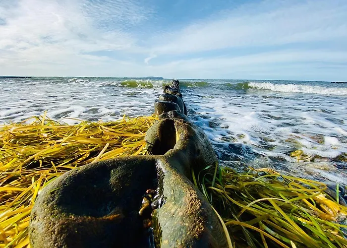 Apartamento App 6 Bugoase Am Bug Für 7 Gäste *